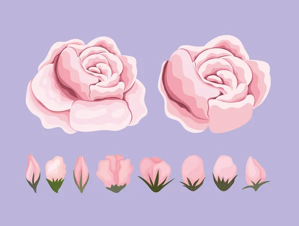 Pink flowers painting vector design — Stock Vector