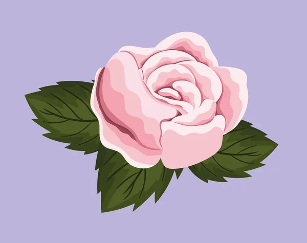 粉红玫瑰彩绘矢量设计 — 图库矢量图片