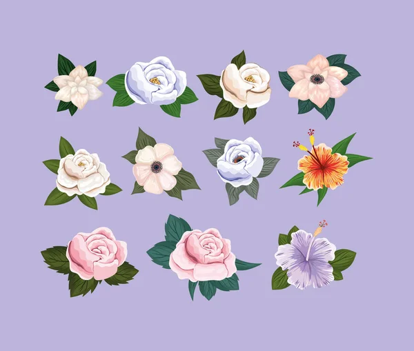 Set van bloemen schilderen vector ontwerp — Stockvector