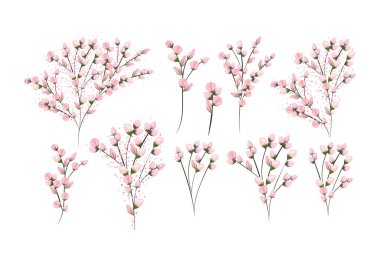 çiçek dalları vektör tasarımı boyama