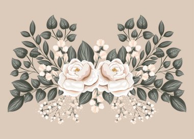 Yaprak boyama vektör tasarımlı beyaz gül çiçekleri