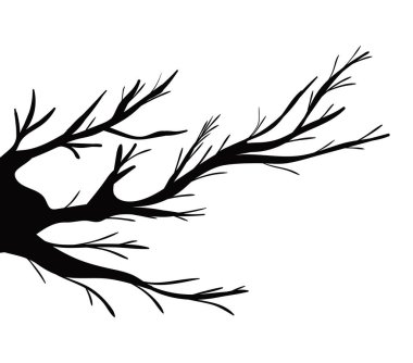 ağaç dalları siluet vektör tasarımı