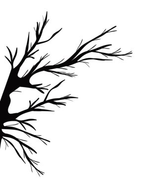 ağaç dalları siluet vektör tasarımı