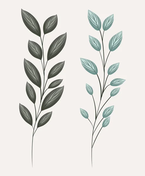 Zwei grüne Blätter Sträuße Malerei Vektor-Design — Stockvektor