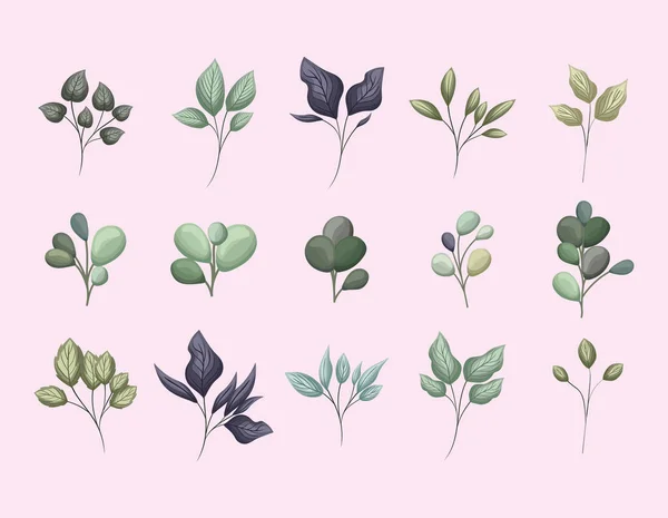 Набор векторного рисунка зеленых листьев — стоковый вектор
