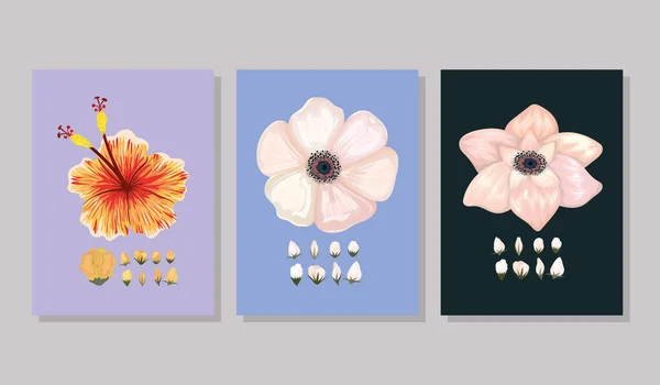 Набор цветов с росписью бутонов в рамке векторного дизайна — стоковый вектор