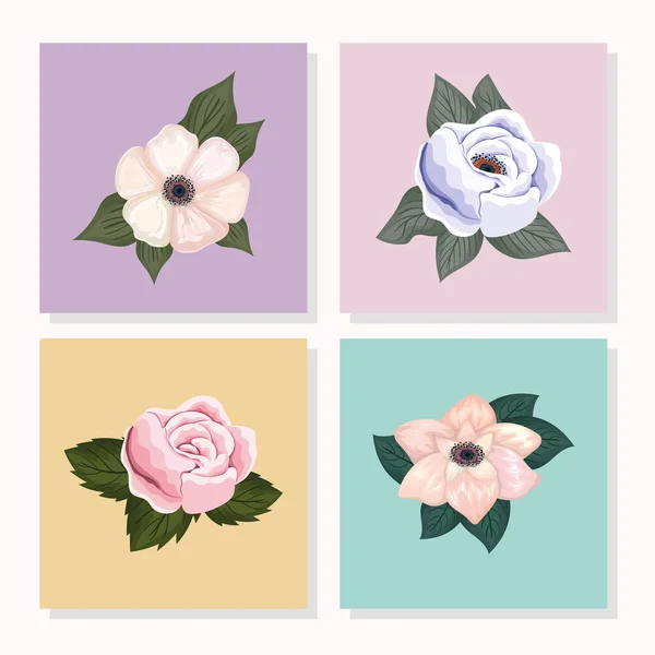 Set of flowers with leaves painting in frames vector design — Stock Vector