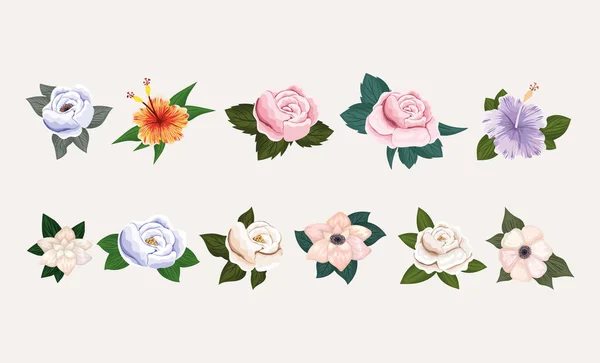 Geïsoleerde set bloemen met bladeren schilderen vector ontwerp — Stockvector