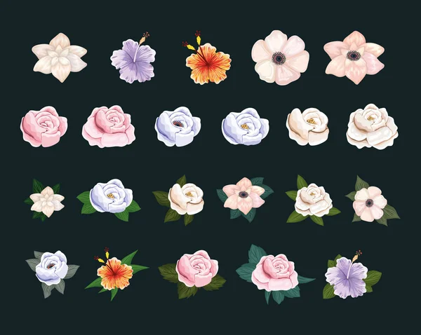 Set van bloemen met bladeren schilderen vector ontwerp — Stockvector