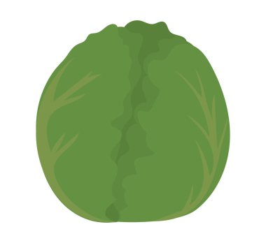 İzole edilmiş marul sebze vektör tasarımı