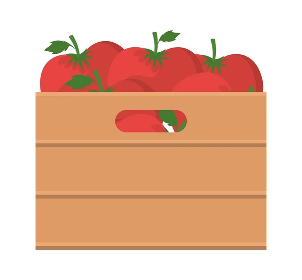 Tomates dentro de diseño de vectores caja — Vector de stock