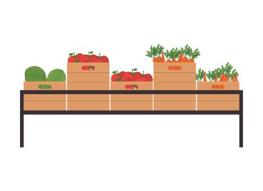 Havuç, domates ve marul, raf vektör tasarımındaki kutuların içinde.