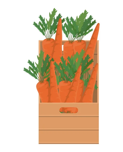 Carrots inside box vector design — Stock Vector