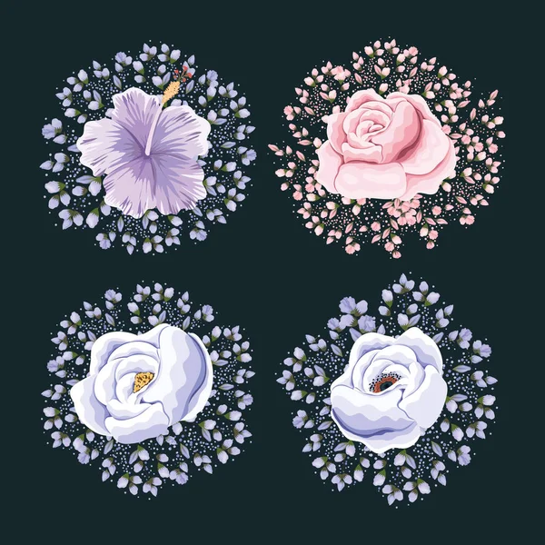Set bloemen met knoppen schilderij vector ontwerp — Stockvector
