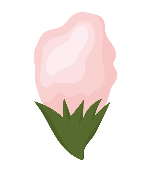 Roze roos knop bloem groeiende schilderij vector ontwerp — Stockvector