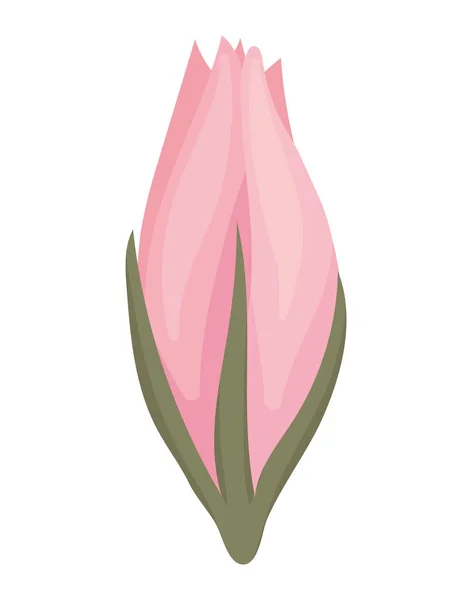 분홍색 장미꽃 꽃봉오리 페인팅 벡터 디자인 — 스톡 벡터
