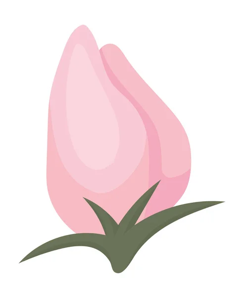 분홍색 장미꽃 꽃봉오리 페인팅 벡터 디자인 — 스톡 벡터