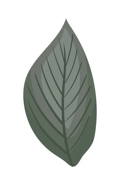 Gray leaf painting vector design — Stock Vector