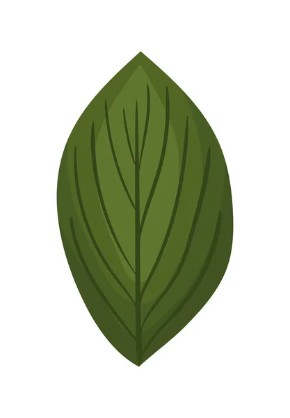 Yeşil yaprak boyama vektör tasarımı — Stok Vektör