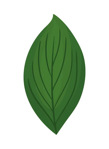 Diseño de vector de pintura de hoja verde — Vector de stock