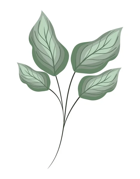 Yeşil yapraklar boyama vektörü tasarımı — Stok Vektör