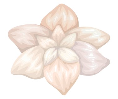 beyaz çiçek boyama vektör tasarımı