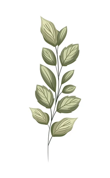 Векторный дизайн зеленых листьев — стоковый вектор