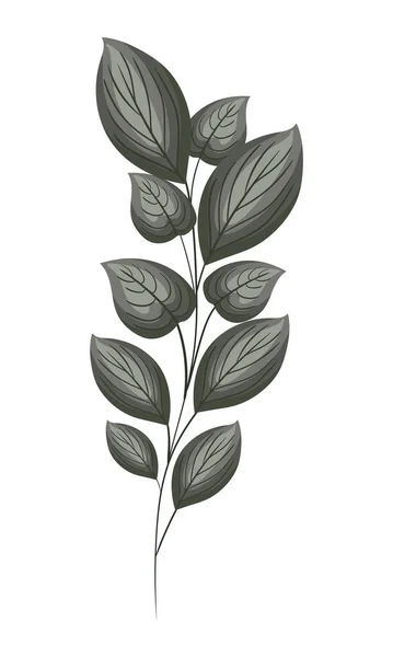 グレーの葉はベクトルデザイン — ストックベクタ