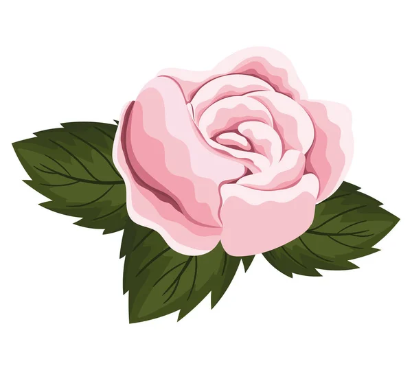 Rosa Rose Blume mit Blättern Malerei Vektor-Design — Stockvektor