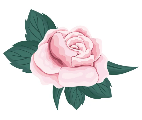Rosa Rose Blume mit Blättern Malerei Vektor-Design — Stockvektor