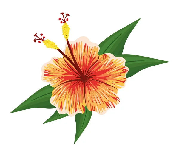 Flor havaiana laranja com folhas desenho vetorial pintura —  Vetores de Stock