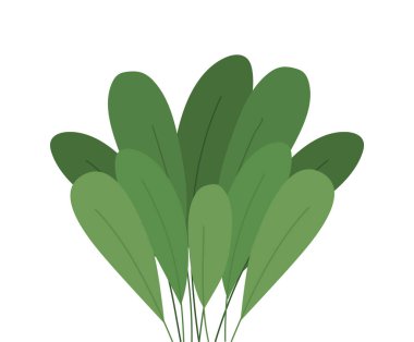 İzole edilmiş yeşil yapraklar vektör tasarımı