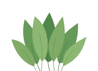 İzole edilmiş yeşil yapraklar vektör tasarımı