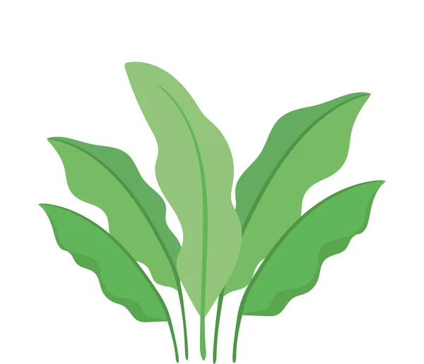 Изолированный вектор зеленых листьев — стоковый вектор