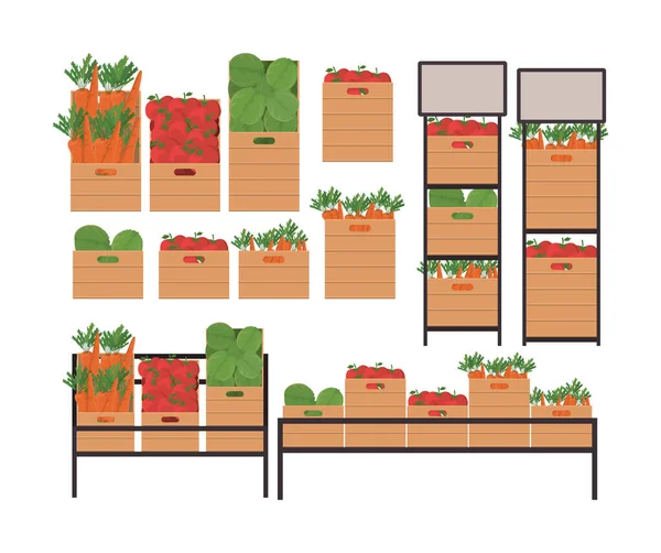 Alfaces de tomates e cenouras dentro de caixas e prateleiras design vetorial — Vetor de Stock