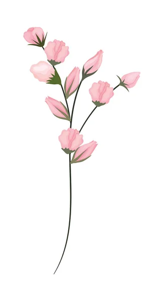 Różowy pąki kwiaty bukiet malarstwo wektor projekt — Wektor stockowy