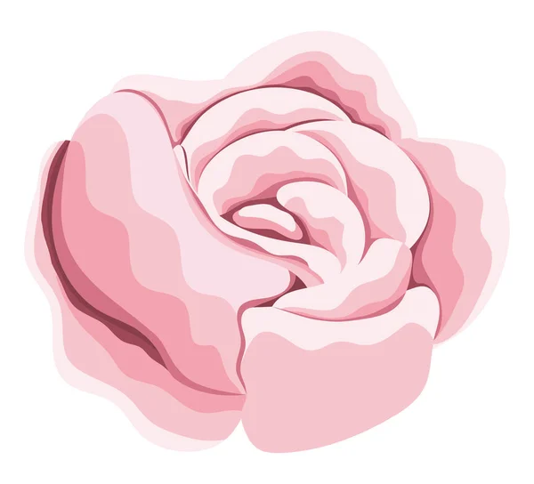 Rose rose fleur peinture vectoriel design — Image vectorielle