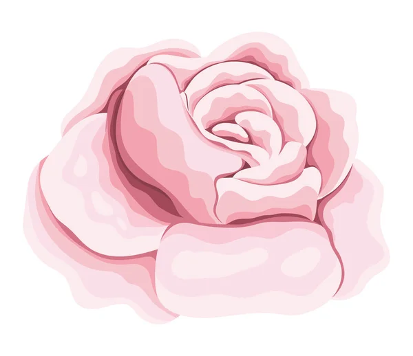 Ροζ τριαντάφυλλο λουλούδι ζωγραφική διάνυσμα σχεδιασμό — Διανυσματικό Αρχείο