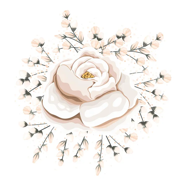 Knospen um weiße Rose Blume Malerei Vektor-Design — Stockvektor