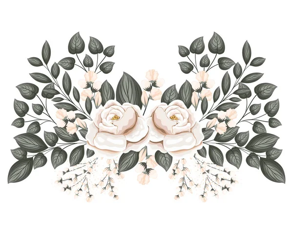 Flores rosas brancas com botões e folhas de pintura design vetorial — Vetor de Stock