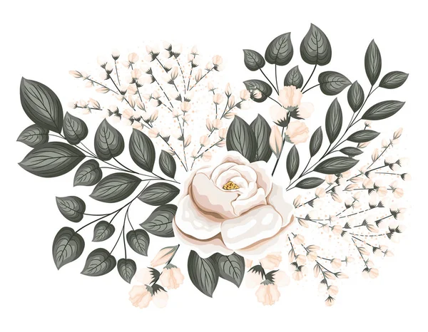 Fleur de rose blanche avec des bourgeons et des feuilles dessin vectoriel peinture — Image vectorielle