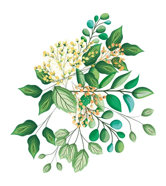 White buds flowers with leaves bouquet painting vector design — Stock Vector