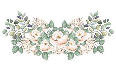 Tomurcuklu beyaz güller ve boyama vektör tasarımı