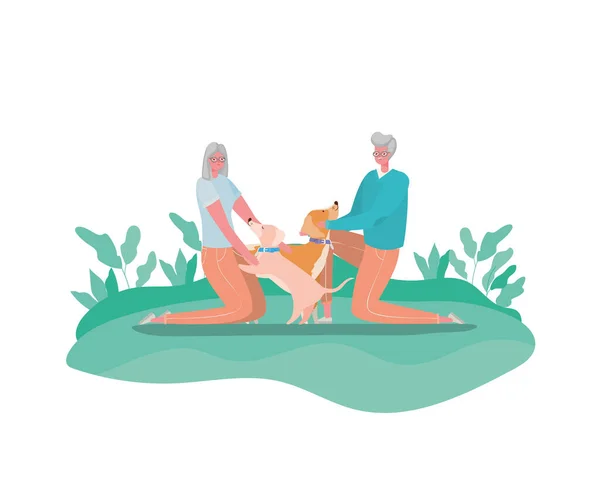 Park vektör tasarımında köpekli kıdemli kadın ve erkek çizgi filmleri — Stok Vektör