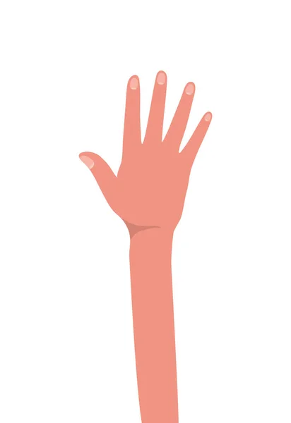 分離された手をベクトル設計 — ストックベクタ