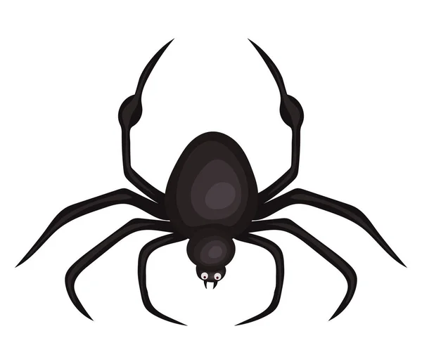 Halloween aranha desenho animado vetor design — Vetor de Stock