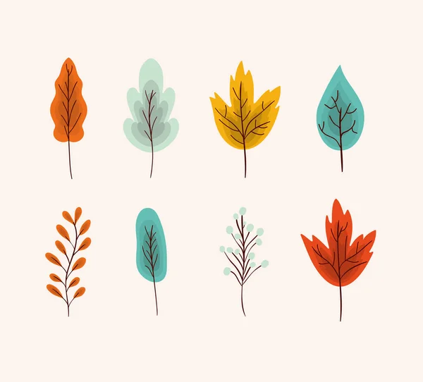 Autumn leaves set vector design — Stock Vector