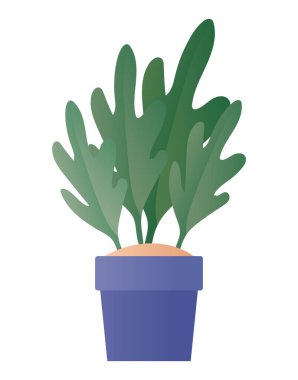 Ot vektör tasarımı içinde izole edilmiş bitki