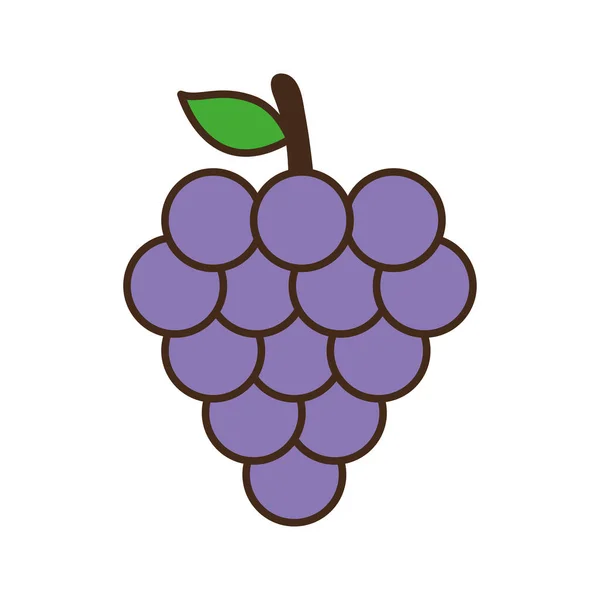 Línea de uvas y relleno icono de estilo de diseño vectorial — Vector de stock