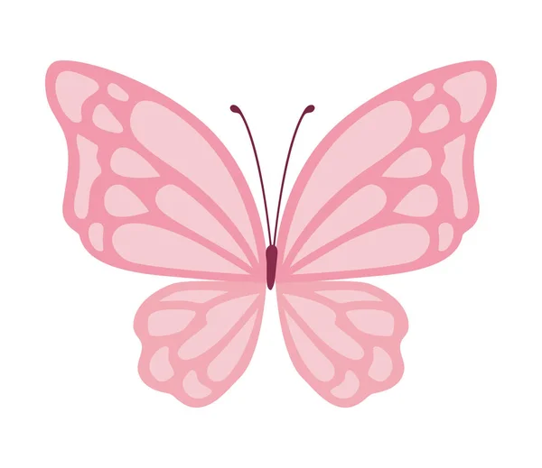 可爱的粉色蝴蝶矢量设计 — 图库矢量图片